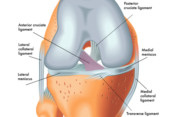 Does Augmentation / Internal Brace in ACL Reconstruction Help Patients Return to Sport?