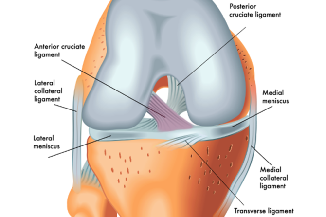 Does Augmentation / Internal Brace in ACL Reconstruction Help Patients Return to Sport?